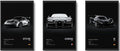 CSLGQGV Car Poster Vintage Racing Car Wall Art Supercar Canvas Prints Painting by Unknown