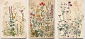 Framed Plants Wildflowers Canvas Wall Art Vintage Floral Painting Poster by NCYEL