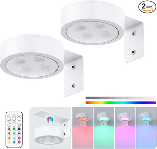 2Pcs Picture Lights for Wall, 13 Color RGB Magnetic Led Art Display Light for by KELUOLY