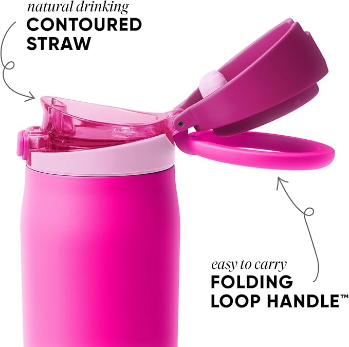 Simple Modern Mesa Loop Water Bottle with Covered Straw and Handle | 24oz Cup Holder Friendly Insulated Stainless Steel Bottles for Travel, Sports and School | Raspberry Vibes