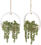 Floweroyal 2pcs Artificial Succulents Hanging Plants 12.2'' Fake String of by FloweroyalCrafts