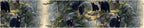 Black Bear Wallpaper Border 196x4 Inch Peel and Stick Wall Border Self Adhesive - Image 2