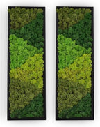 yersiz Large Moss Pattern Wall Art, Real Moss Wall Art by YERSIZ