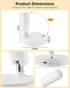 EZVALO Spot Lights Indoor, 5500mAh Rechargeable Plant Spotlights - Image 5