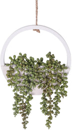 Floweroyal Artificial Succulents Hanging Plants 12.2'' Fake String of Pearls in by FloweroyalCrafts