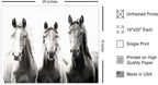 Poster Master Horse Poster - Image 2