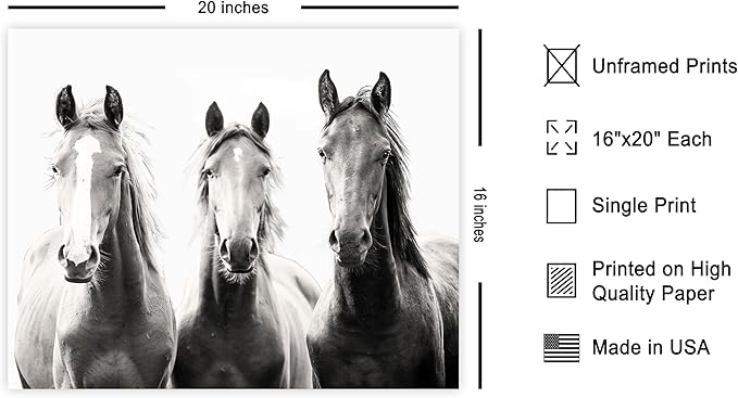 Poster Master Horse Poster - Image 2