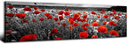 Nature Poppy Wall Art Red and Black Wall Decor Wildflower Field Landscape by AREBOLOLLC