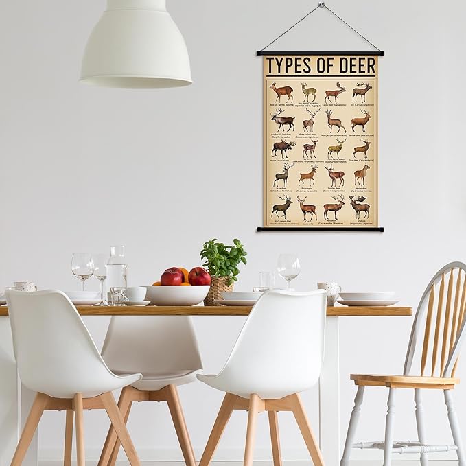 Geyee Deer Vintage Poster Wall Decor Deer Hunting Art Knowledge Picture Prints - Image 4