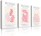 HesenDot Framed Matisse Pink Wall Art Set of 3, Minimalist Wall Decor, 12x16IN by HesenDot
