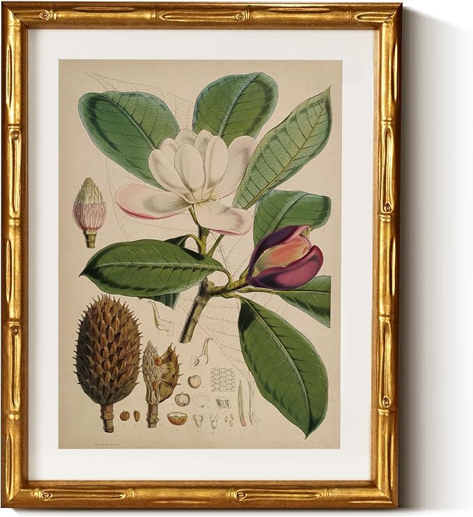 InSimSea Gold Bamboo Framed Canvas Wall Art, Retro Nature Magnolia Botanical by InSimSeaArt
