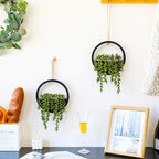 Floweroyal 2pcs Artificial Succulents Hanging Plants 12.2'' Fake String of - Image 6