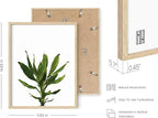 HAUS AND HUES Plant Wall Art - Image 3