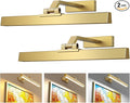 Afyuol Picture Lights for Wall, Brushed Gold Battery Operated Picture Light by Afyuol