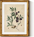 InSimSea Gold Bamboo Framed Canvas Wall Art, Vintage Olives Botanical Prints by InSimSeaArt