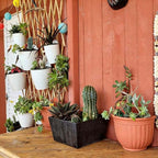 6 Pack Hanging Planter Wall Planter Self Watering 5 inch Plant Pot - Image 2