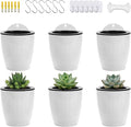 4 Inch Self Watering Hanging Planters, Wall Mounted Plant Pots by OrimercGarden