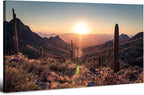 Sunset Sonoran Desert Wall Art Cactus Decor Arizona Mountain Wall Art Pictures by HOME