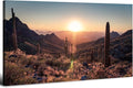 Mountain Wall Art Sunset Cactus Wall Decor Arizona Sonoran Desert Canvas by HOME