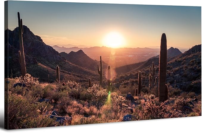 Mountain Wall Art Sunset Cactus Wall Decor Arizona Sonoran Desert Canvas by HOME