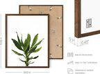 HAUS AND HUES Plant Wall Art - Image 3
