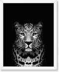 Poster Master Vintage Photograph Poster by PosterMaster