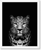 Poster Master Vintage Photograph Poster by PosterMaster