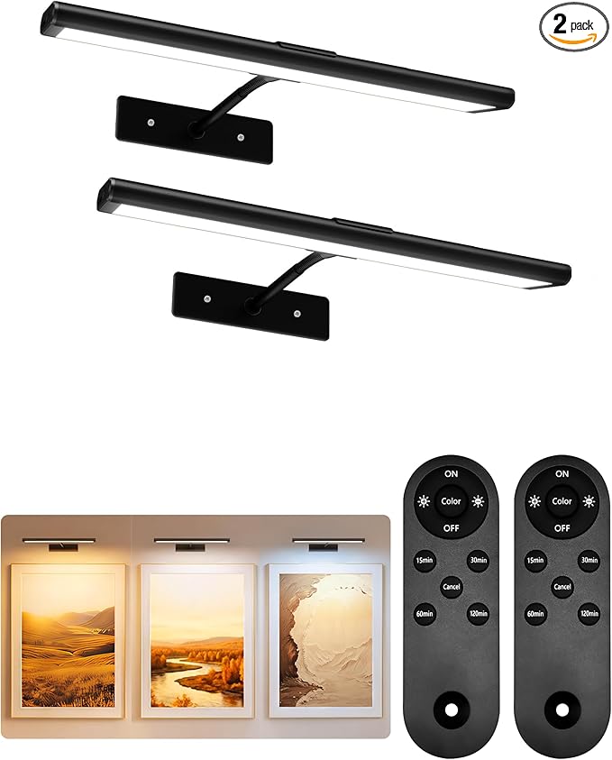 EZVALO Picture Light for Wall, Dimmable Magnetic LED Art Painting Light by EZVALO