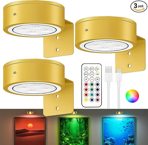 3-Pack Picture Lights for Wall, 13 RGB Color Changing Led Art Display Light by Kandicyar