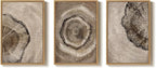 Large Framed Neutral Vintage Wall Art - Image 9