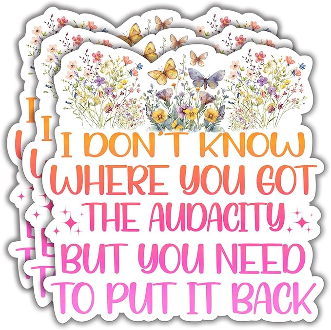 (3Pcs) I Don't Know Where You Got The Audacity But You Need to Put It Back Funny Quotes Vinyl Stickers Durable for Laptops Water Bottles Phones Tumblers Notebooks Cars Mugs Size 3 x 3 Inch