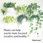 Make Good Virgo Wall Planters - Image 5