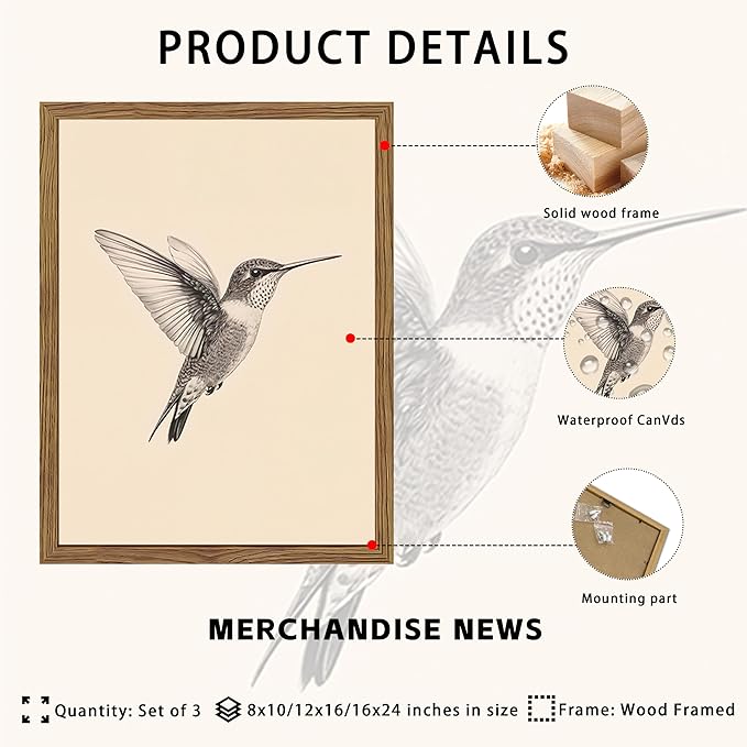 Vintage Framed Wall Art, Birds Canvas Prints, Hummingbird Sketch Painting - Image 5