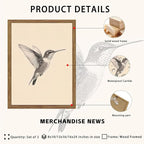 Vintage Framed Wall Art, Birds Canvas Prints, Hummingbird Sketch Painting - Image 5