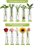 XXXFLOWER Wall Hanging Propagation Station - Image 5