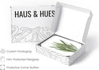 HAUS AND HUES Plant Wall Art - Image 4