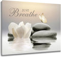 EOBTAIN Zen Wall Art Butterfly and Water Lily Flower Stone Relaxing Spa by EOBTAIN