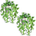 Artificial Hanging Potted Plants Set of 2, Fake Eucalyptus Vine Plant by Unknown