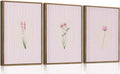 KISSFOX 3 Piece Framed Wall Art Botanical Wall Decor Pink Floral Pictures by KISSFOX