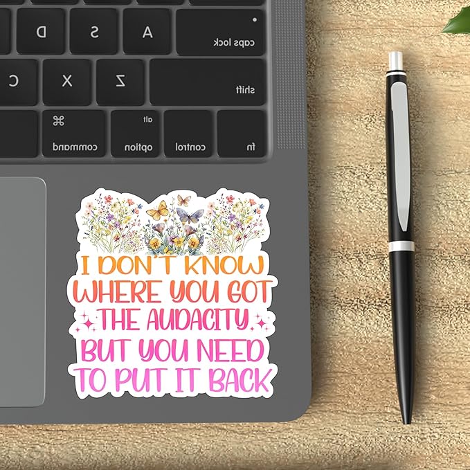 (3Pcs) I Don't Know Where You Got The Audacity But You Need to Put It Back Funny Quotes Vinyl Stickers Durable for Laptops Water Bottles Phones Tumblers Notebooks Cars Mugs Size 3 x 3 Inch