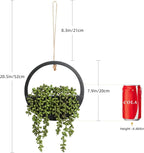 Floweroyal 2pcs Artificial Succulents Hanging Plants 12.2'' Fake String of - Image 5