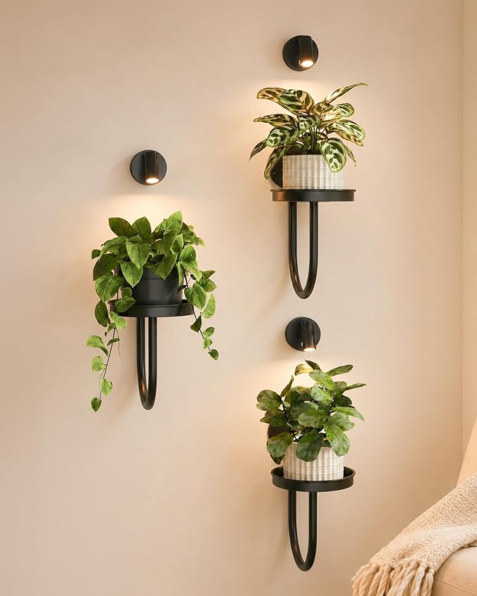 Bamworld Wall Decor Plant Stand by Bamworld