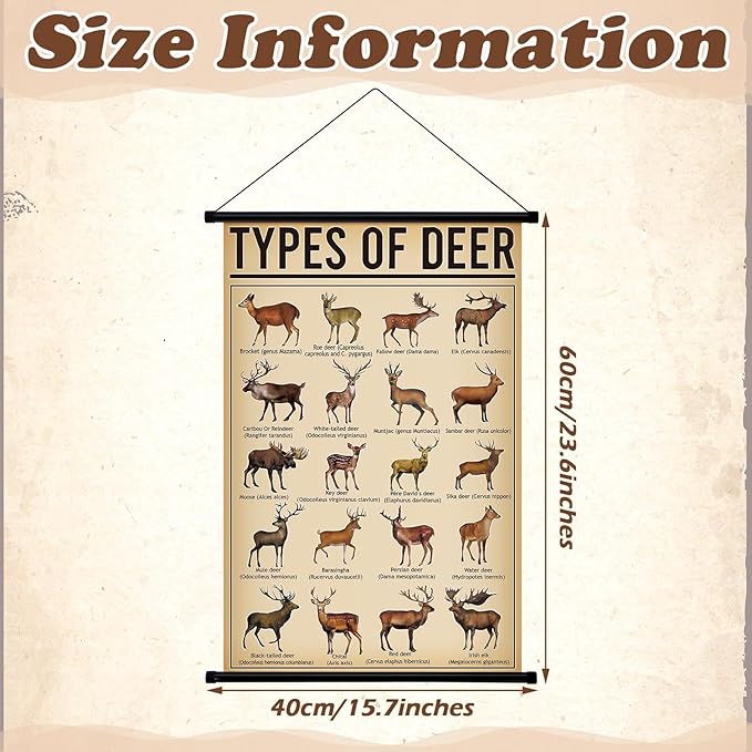 Geyee Deer Vintage Poster Wall Decor Deer Hunting Art Knowledge Picture Prints - Image 3