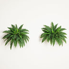 Nearly Natural 40in Hanging Artificial Boston Fern Plant Set of 2 - Image 8