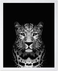 Poster Master Vintage Photograph Poster by PosterMaster