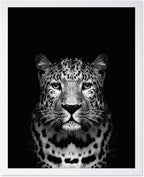 Poster Master Vintage Photograph Poster by PosterMaster