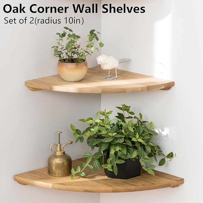 Corner Shelves, Floating Corner Shelf, Round End Wall Mount Display Shelf - Image 8