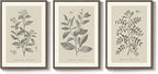 Large Framed Botanical Wall Art - Image 9