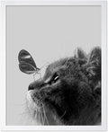 Poster Master Butterfly on Cat Print by PosterMaster
