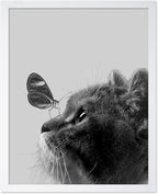 Poster Master Butterfly on Cat Print by PosterMaster